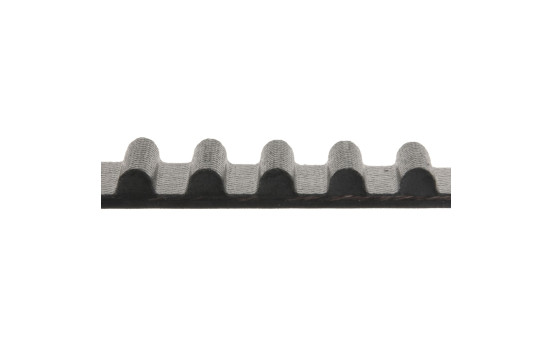 Timing Belt ADT37507 Blue Print, Image 2