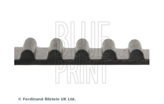 Timing Belt ADT37507 Blue Print, Image 4