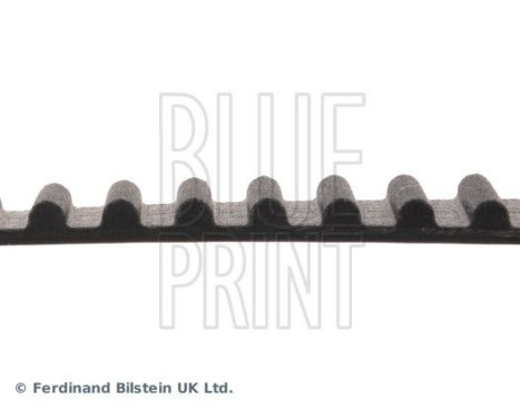 Timing Belt ADT37508 Blue Print, Image 4