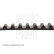 Timing Belt ADT37508 Blue Print, Thumbnail 4