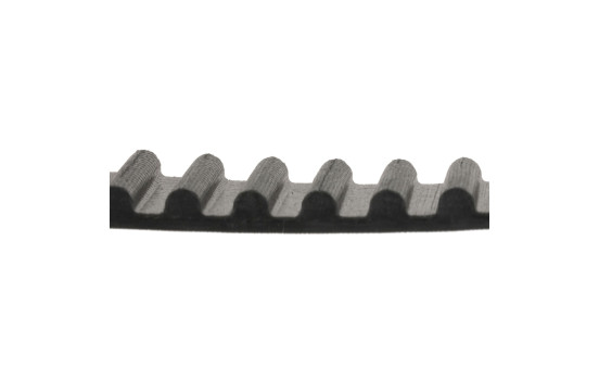 Timing Belt ADT37509 Blue Print, Image 2