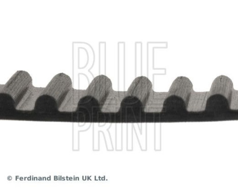 Timing Belt ADT37509 Blue Print, Image 4