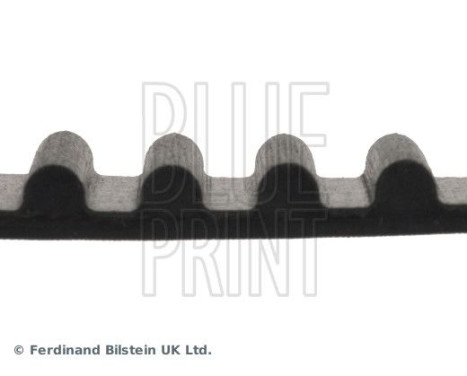 Timing Belt ADT37511 Blue Print, Image 4