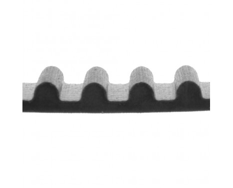 Timing Belt ADT37527 Blue Print, Image 2