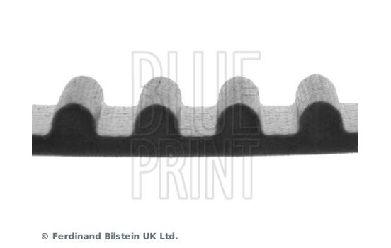 Timing Belt ADT37527 Blue Print, Image 4
