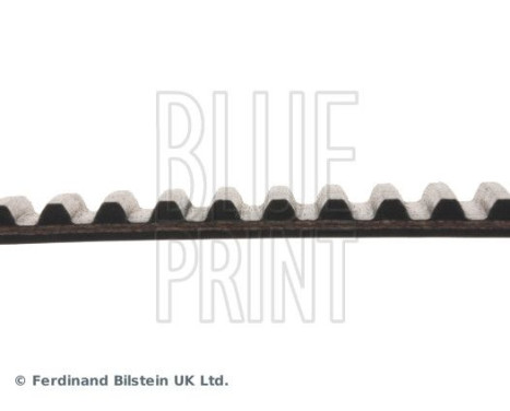 Timing Belt ADT37532 Blue Print, Image 4
