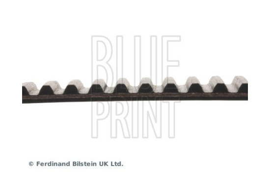 Timing Belt ADT37532 Blue Print, Image 4