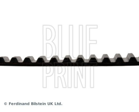 Timing Belt ADT37534 Blue Print, Image 4