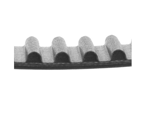 Timing Belt ADT37535 Blue Print, Image 2
