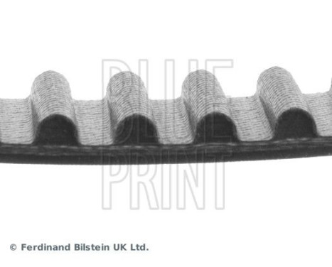 Timing Belt ADT37535 Blue Print, Image 4