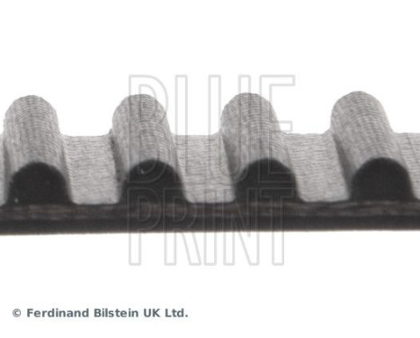 Timing Belt ADT37537 Blue Print, Image 4