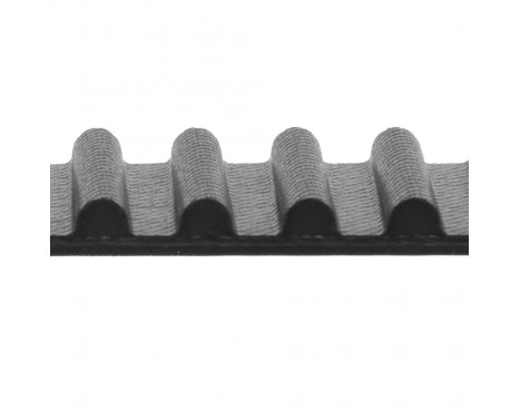 Timing Belt ADT37538 Blue Print, Image 2