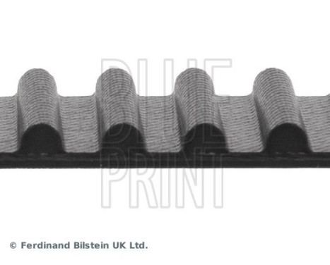 Timing Belt ADT37538 Blue Print, Image 4
