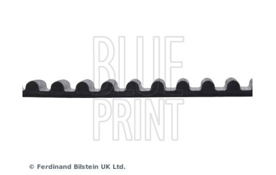 Timing Belt ADT37541 Blue Print, Image 4