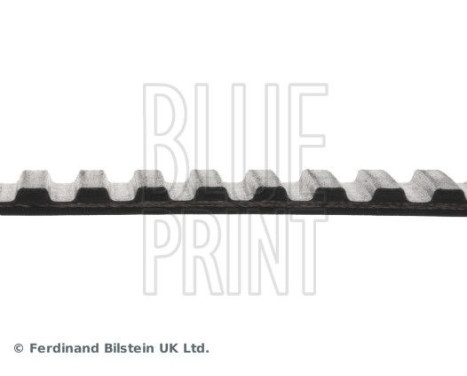 Timing Belt ADZ97505 Blue Print, Image 4