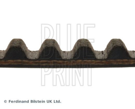 Timing Belt ADZ97517 Blue Print, Image 4