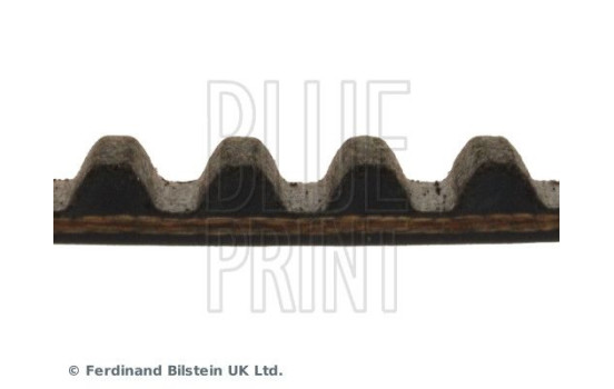 Timing Belt ADZ97517 Blue Print, Image 4