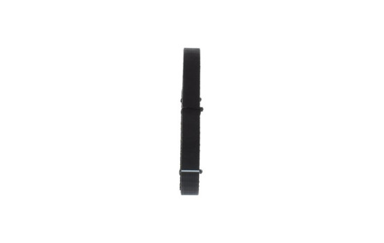 Timing belt CPPN10008M22ZZP Bosch, Image 2