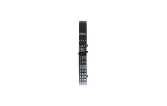Timing belt CPPN1032S8M22 Bosch, Image 2