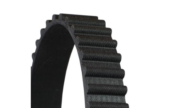 Timing Belt CT 1004 Contitech, Image 3