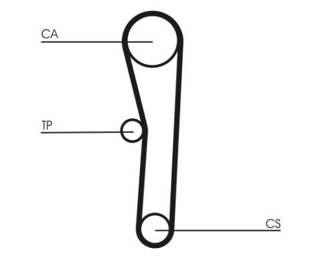 Timing belt CT1008 Contitech, Image 4