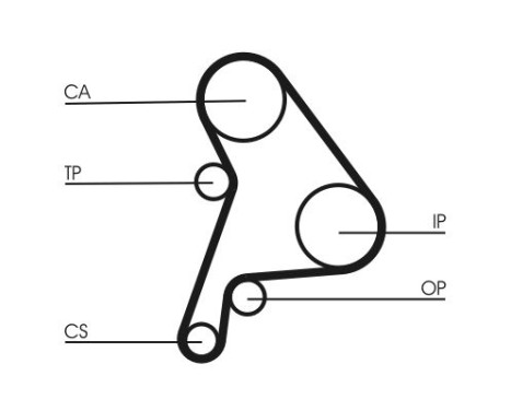 Timing belt CT1012 Contitech, Image 3