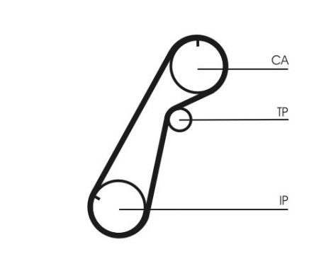 Timing belt CT1020 Contitech, Image 3