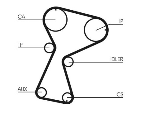 Timing belt CT1026 Contitech, Image 3