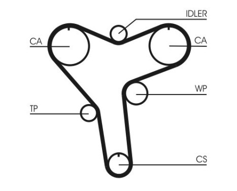 Timing belt CT1029 Contitech, Image 4