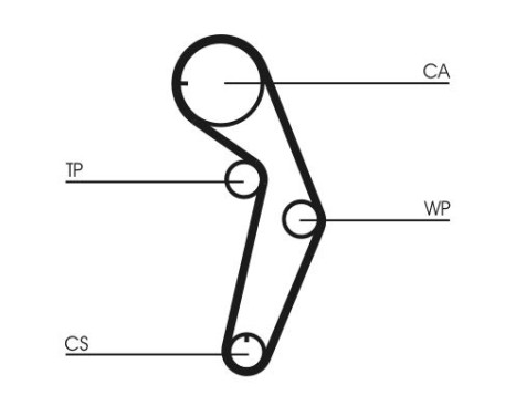 Timing belt CT1048 Contitech, Image 3