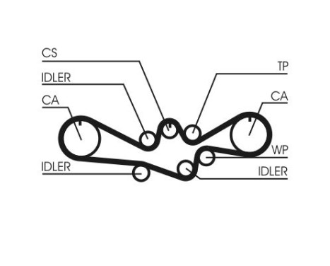 Timing belt CT1050 Contitech, Image 3