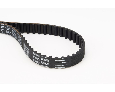 Timing belt CT1067 Contitech, Image 5