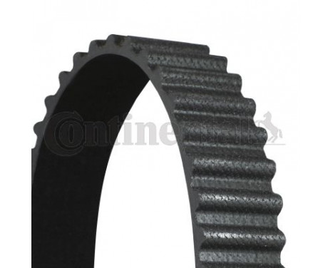 Timing Belt CT1080 Contitech, Image 2