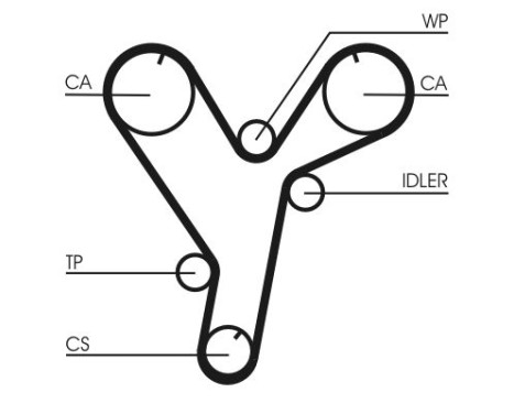 Timing belt CT1080 Contitech, Image 4