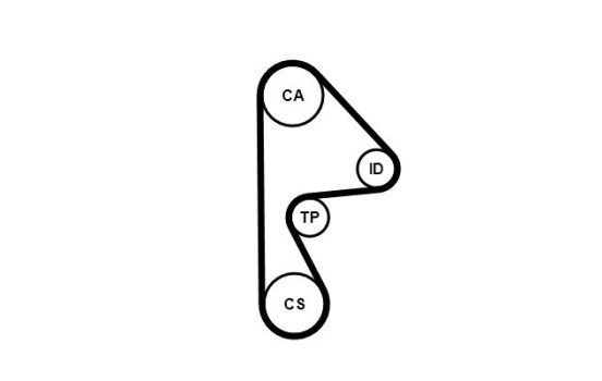 Timing belt CT1081 Contitech, Image 4