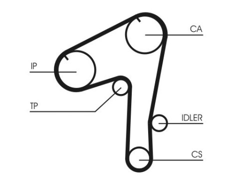 Timing belt CT1084 Contitech, Image 4