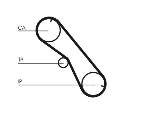 Timing belt CT1089 Contitech, Image 3