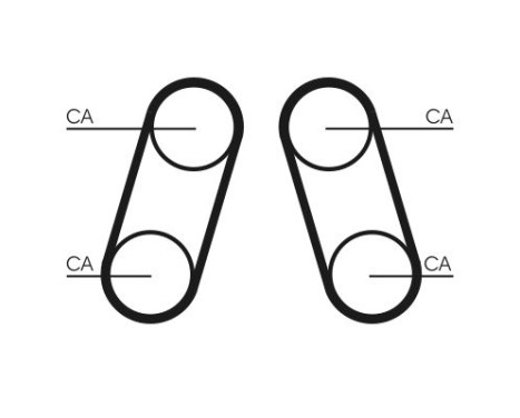 Timing belt CT1097 Contitech, Image 3