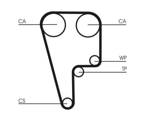 Timing belt CT1102 Contitech, Image 4