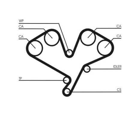 Timing belt CT1113 Contitech, Image 4