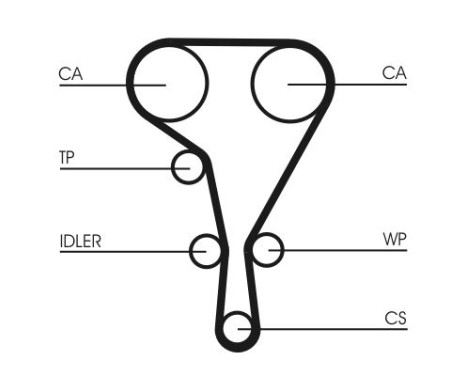 Timing belt CT1127 Contitech, Image 4
