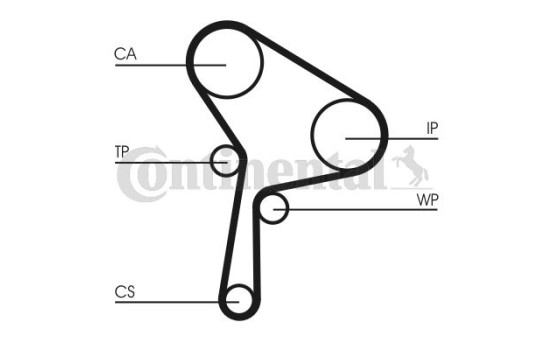 Timing Belt CT1150 Contitech, Image 2