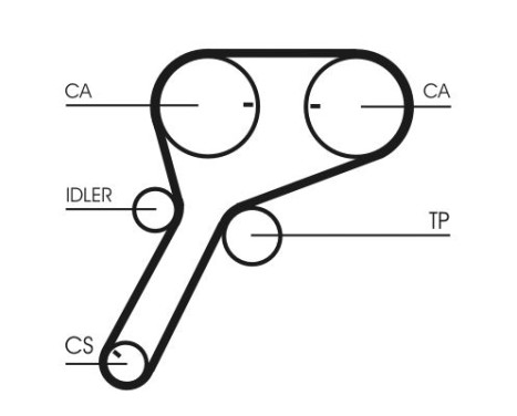 Timing Belt CT1151 Contitech, Image 3