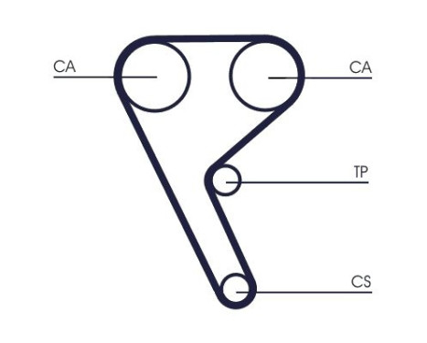 Timing Belt CT1157 Contitech, Image 3