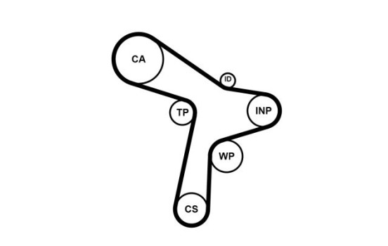 Timing Belt CT1168 Contitech, Image 5