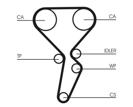 Timing Belt CT1179 Contitech, Image 3