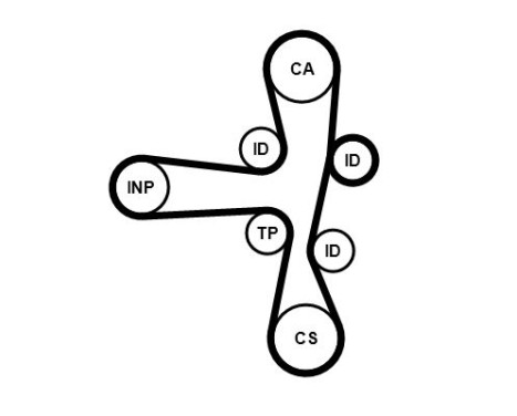 Timing Belt CT1220 Contitech, Image 3