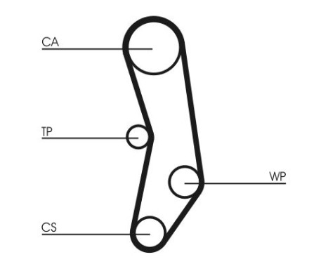 Timing belt CT515 Contitech, Image 4