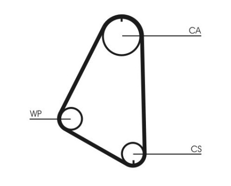 Timing belt CT526 Contitech, Image 3