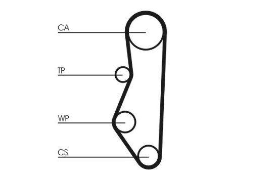 Timing belt CT527 Contitech, Image 3